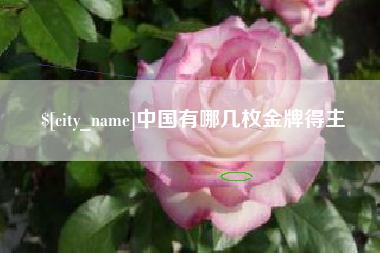 南县中国有哪几枚金牌得主