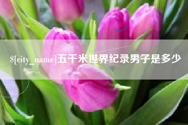 南县五千米世界纪录男子是多少