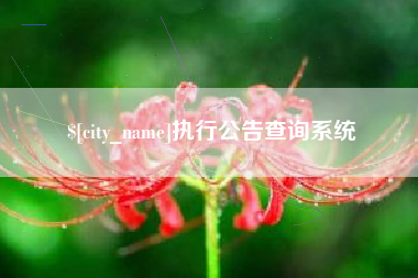 南县执行公告查询系统