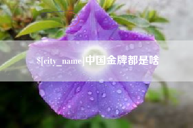 南县中国金牌都是啥