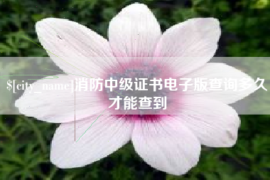 南县消防中级证书电子版查询多久才能查到