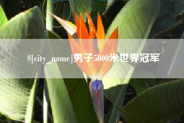 南县男子5000米世界冠军