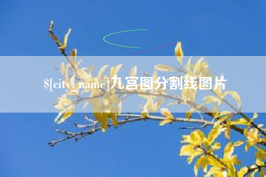 南县九宫图分割线图片