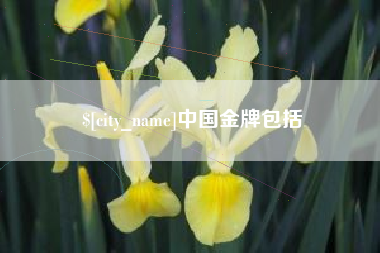南县中国金牌包括
