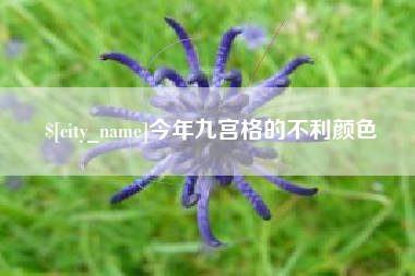 南县今年九宫格的不利颜色
