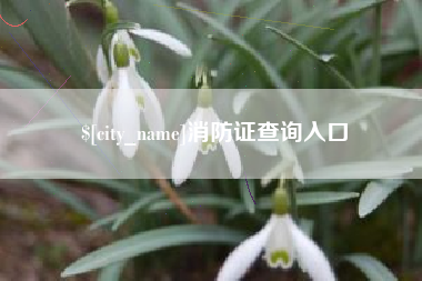 南县消防证查询入口