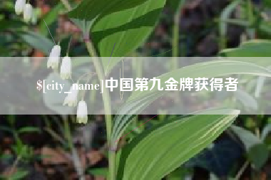 南县中国第九金牌获得者