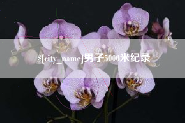 南县男子5000米纪录
