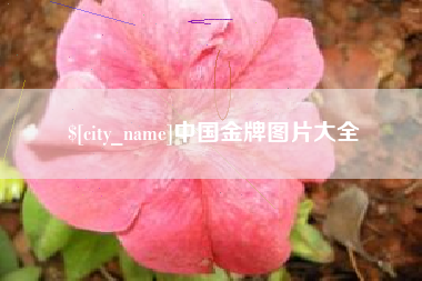 南县中国金牌图片大全