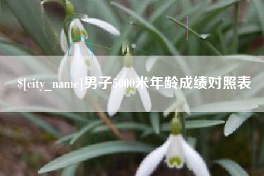 南县男子5000米年龄成绩对照表