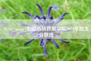 南县中国消防救援学院2024年招生分数线