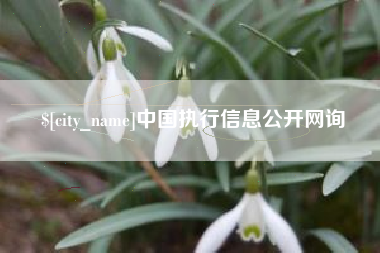南县中国执行信息公开网询