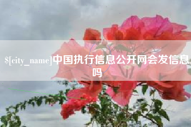 南县中国执行信息公开网会发信息吗