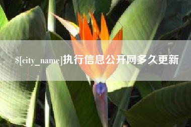 南县执行信息公开网多久更新