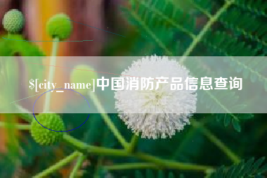 南县中国消防产品信息查询