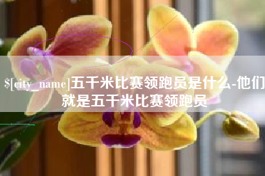 南县五千米比赛领跑员是什么-他们就是五千米比赛领跑员