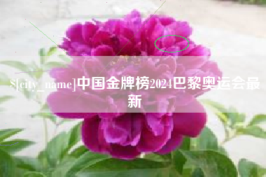 南县中国金牌榜2024巴黎奥运会最新