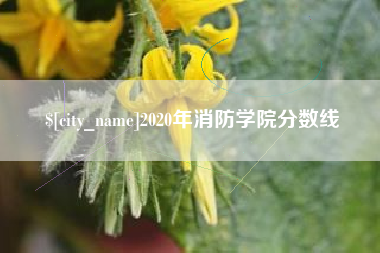 南县2020年消防学院分数线