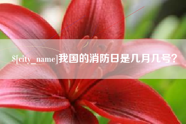 南县我国的消防日是几月几号？
