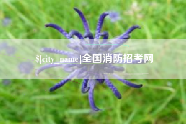 南县全国消防招考网