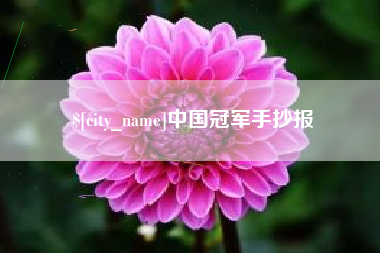 南县中国冠军手抄报