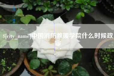 南县中国消防救援学院什么时候政审