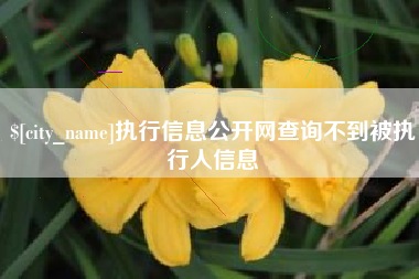南县执行信息公开网查询不到被执行人信息