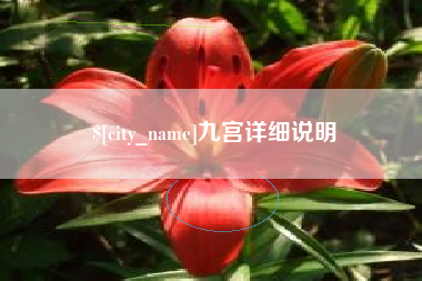南县九宫详细说明