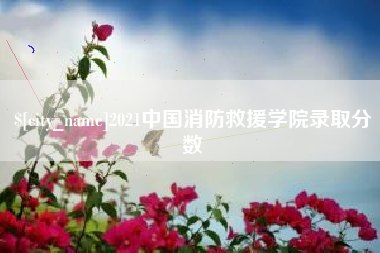 南县2021中国消防救援学院录取分数