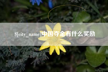 南县中国夺金有什么奖励