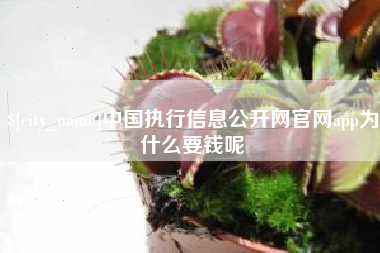 南县中国执行信息公开网官网app为什么要钱呢