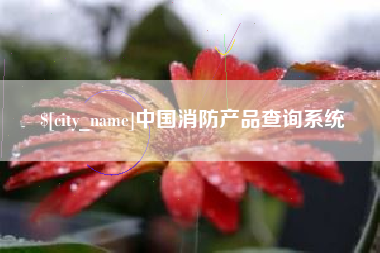 南县中国消防产品查询系统