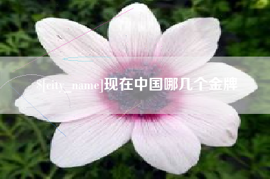南县现在中国哪几个金牌