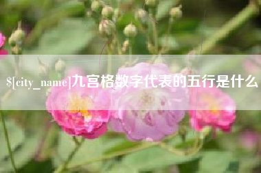 南县九宫格数字代表的五行是什么
