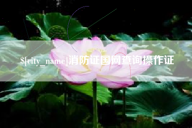 南县消防证国网查询操作证