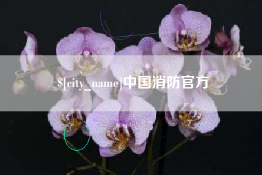 南县中国消防官方