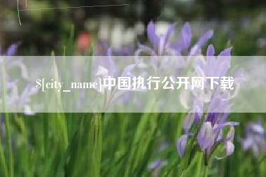 南县中国执行公开网下载