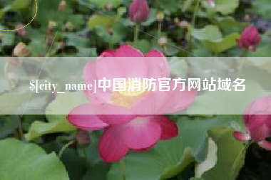 南县中国消防官方网站域名