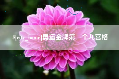南县奥运金牌第二个九宫格