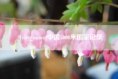 南县中国5000米国家记录