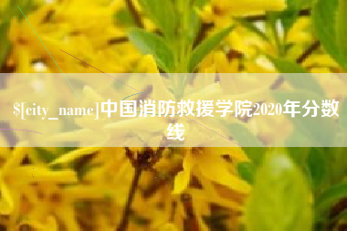 南县中国消防救援学院2020年分数线