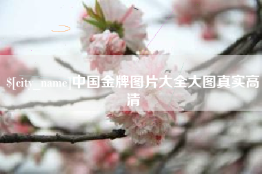 南县中国金牌图片大全大图真实高清