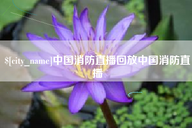 南县中国消防直播回放中国消防直播