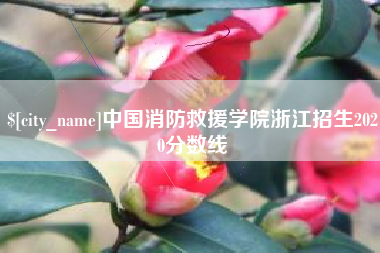 南县中国消防救援学院浙江招生2020分数线