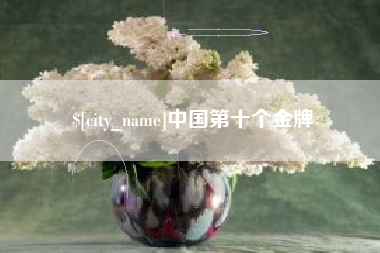 南县中国第十个金牌