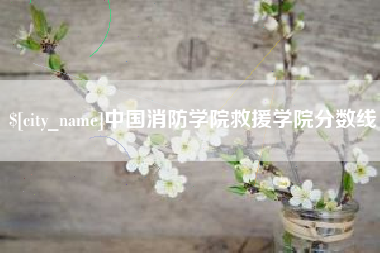 南县中国消防学院救援学院分数线