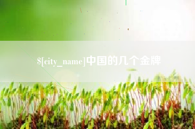南县中国的几个金牌