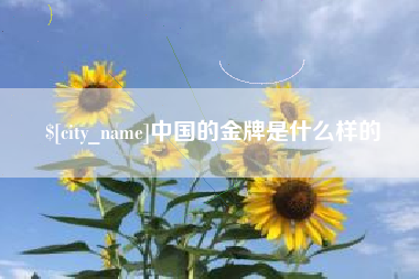 南县中国的金牌是什么样的