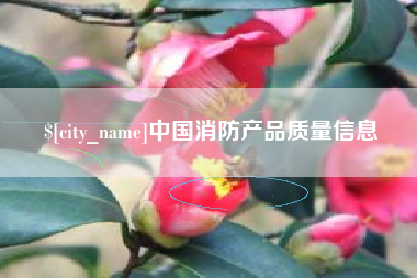 南县中国消防产品质量信息