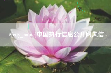 南县中国执行信息公开网失信